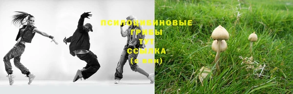 прущие крисы Вяземский